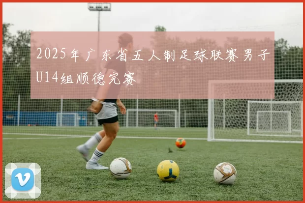 2025年广东省五人制足球联赛男子U14组顺德完赛