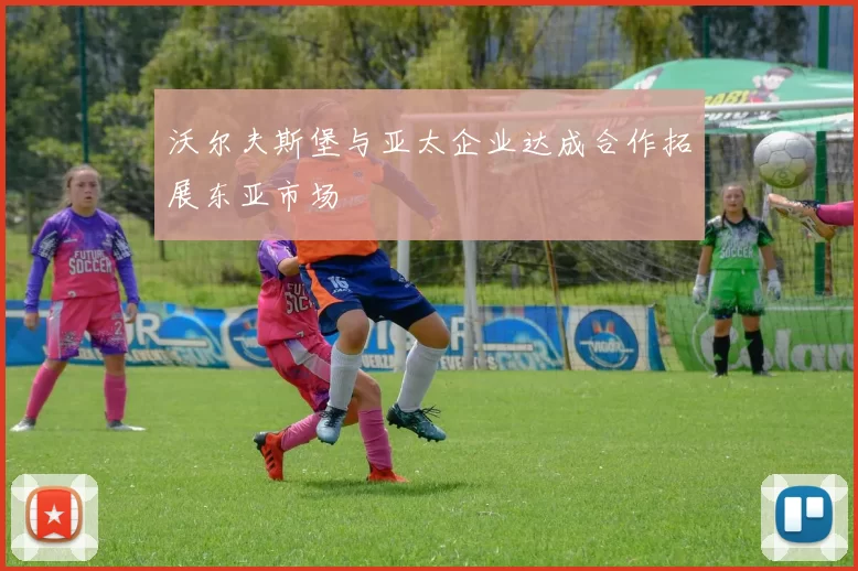 沃尔夫斯堡与亚太企业达成合作拓展东亚市场