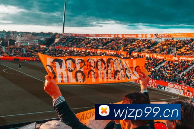 开云(Kaiyun) - 中国官方服务平台发展历程